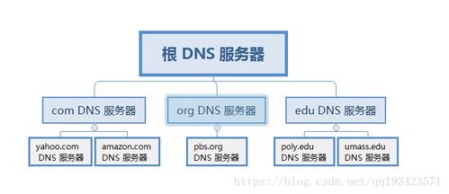 DNS服務協議中的技術服務與技術開發內容解析